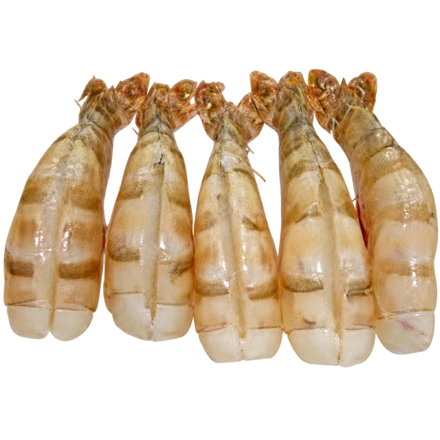 EZP Prawns